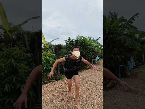 มีใครเคยเห็นนกยักษ์แบบนี้บ้าง