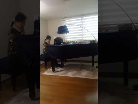 Peter Ludwig Hertel     Lise variation (kb lee piano)