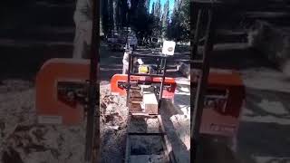 Full cut Tk1300 - At Swallows - Sent by Horacio