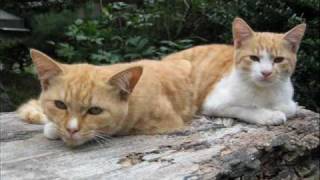 FictionJunctionYUUKA/焔の扉(ピアノソロ演奏)（音声のみ）