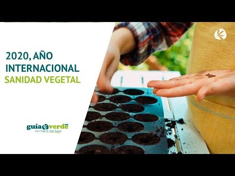 Fotograma del vídeo: 2020, Año internacional de la Sanidad Vegetal