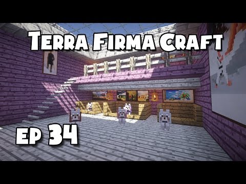 TerraFirmaCraft - #34 - The Imposter