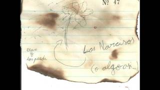 Juliana Camelli - No quiero (Músicadelosnarcisos remix)