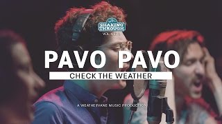 Pavo Pavo - Check the Weather | Shaking Through (Song Stream)
