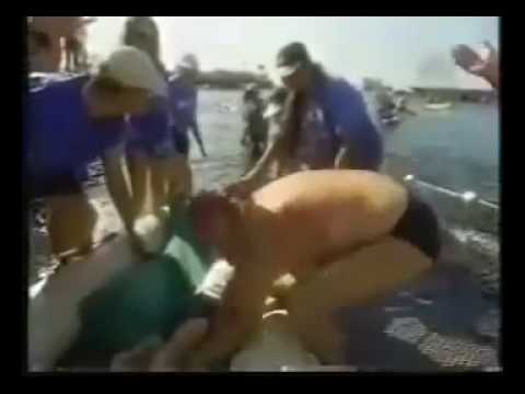 Vedere atti sessuali pellicola Migliori posizioni del sesso immagini