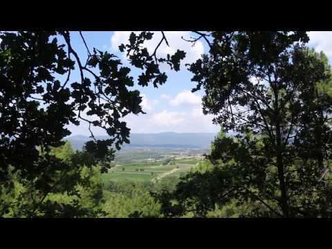 ***** Frans  Bauer *****