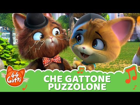 @44GattiIT | Canzone "Che gattone puzzolone" [VIDEOCLIP]