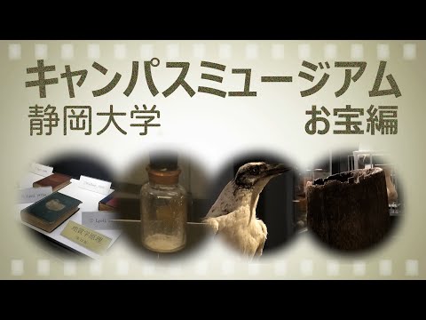 言語文化学科 静岡大学キャンパスミュージアム