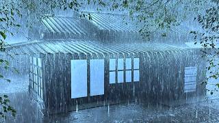 Blowing Away Insomnia with Pouring Rain & Thunder Sounds hit the Cold Tin Roof in the Foggy Night