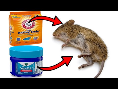 How To Get Rid of Mice With Vicks Vaporub and Baking soda
