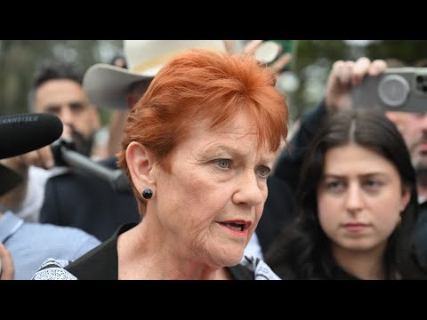 ‘Don’t want to assimilate’: Pauline Hanson on Australia's immigration policy