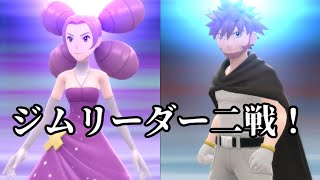 【BDSP】一匹失うことになりました【ポケモン】