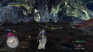 【PC】ムフェト弓ペアTA【MHW;IB】