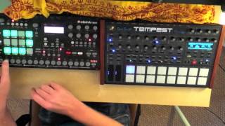 Tempest and Analog Rytm jam (electronica/BOC/skam records). Tempest synths and bass