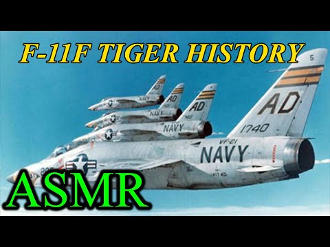The plane that shot itself down | ASMR History | F11-F Tiger