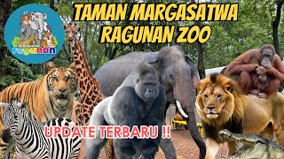 Download lagu EXPLORE RAGUNAN ZOO 2024 | TAMAN MARGASATWA RAGUNAN | KEBUN BINATANG RAGUNAN mp3