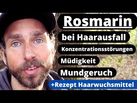 Rosmarin bei Haarausfall, Schuppen, Mundgeruch, Demenz, niedrigem Blutdruck - natürliches Heilmittel