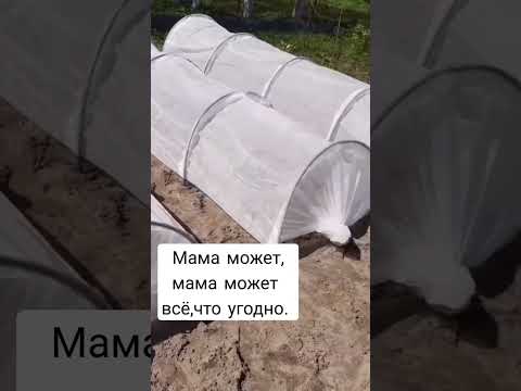 фото парники дуговые(новые) 0