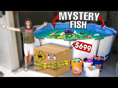 BUYING SEA CREATURE MYSTERY BOX for My SALTWATER POND! (Shopping Spree!)