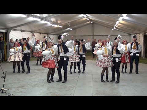 Hody - 2017 - hodová zábava + pásmo Sušické chasi