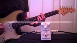 Video thumbnail for Mad Professor Silver Spring Reverb demo by Mad Professor Pedals