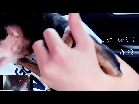 5分程度のMV歌詞入れ動画編集承ります イメージ1
