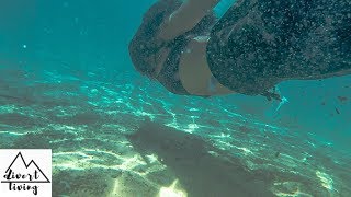 AMAZING Emerald pool in Krabi Thailand🇹🇭🌴