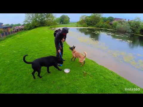 ghost lexi and aqib pond