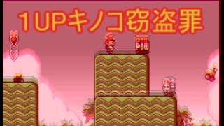 【縛り実況】民を守り悪を討ち、真の正義を貫き通せ！スーパーマリオUSA -Part 1-