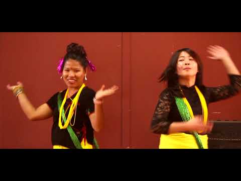 Lai Bari Lai Lai Chiya Barima....// ALISHA PRADHAN// POONAM GURUNG//TEEJ SPECIAL DANCE // 2017//