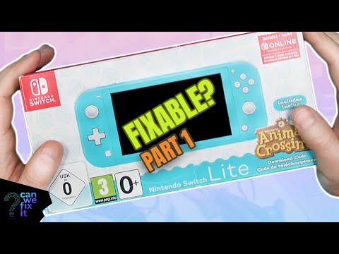 Faulty Nintendo Switch Lite From Ebay - Is It Fixable? | PART 1