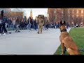 My Soldier S Return It S The Best Day Ever And I M Over The Moon Dog