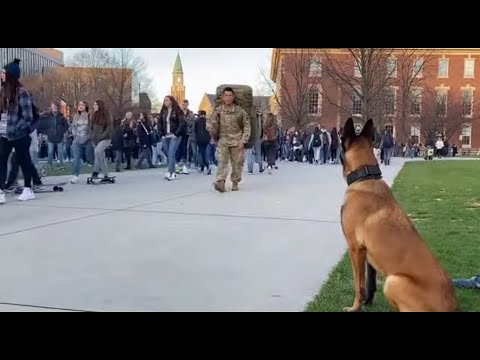 🐶 🥰🥰 My Soldier's Return! It's the Best Day Ever, and I'm Over the Moon！#dog