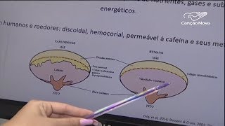 Miniatura do vídeo