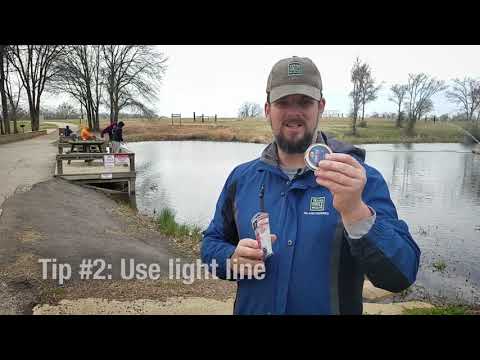 Catching Rainbow trout - Tips from a Fisheries Biologist