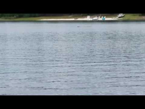 90 mph crash with my TFL Carbon fiber Zonda