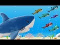 Baby Shark Song And Nursery Rhymes For Kids