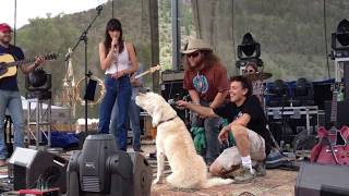Nicki Bluhm and the Gramblers with special guest, Mavis the Singing Dog - State Bridge, CO  7/22/12
