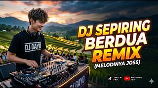 Download lagu Dj Sepiring Berdua REMIX Dj Gayo mp3