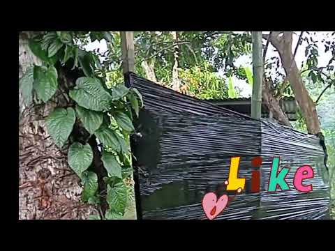 Chopping of 🔥 firewood for custom work - warkinim in the process 💯😎