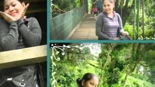 Child For A Day&quot;cat Stevens&quot;