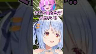 千の声に似ていることに気付いた結果フブ婆に名前を取られてヴィになるヴィヴィに爆笑するぺこーら#shorts  #ホロライブ #切り抜き #vtuber #綺々羅々ヴィヴィ #兎田ぺこら #ホロ切り抜き