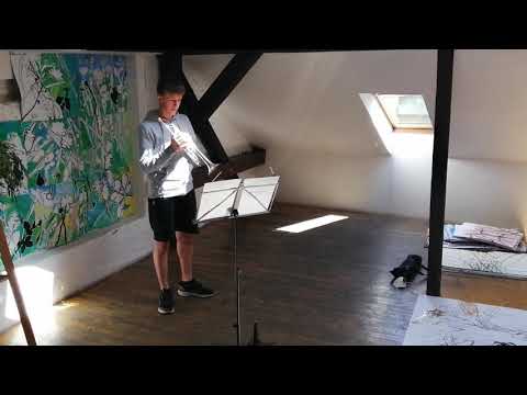 ZUŠ Krnov - Matouš Hnízda trubka