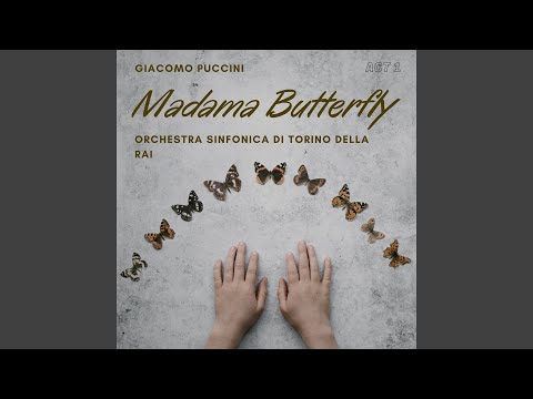 Madama Butterfly, Act I: Tutti zitti!