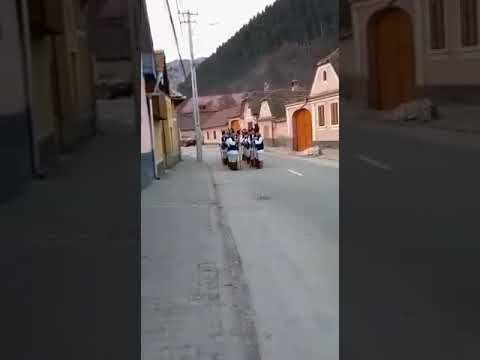 Cazare Pensiunea Norica,Gura Raului -Junii