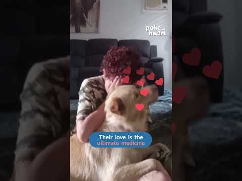 Service Dog Helps Owner Get Through Crying Episode