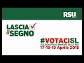 Rsu 2018 Scuola: l’appello al voto dei segretari generali territoriali della Cisl Scuola