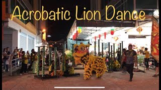 preview picture of video 'Acrobatic Lion Dance Performance | Chinese New Year'