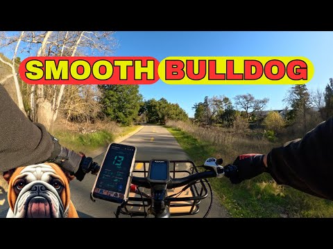 BENJAMIN BULLDOG .457 - more POWER, more BARK!