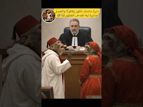 #قردوش #monkey #funnyshorts#funny #shorts #trending #viral #viralshorts #funnyshorts#animals #monkey